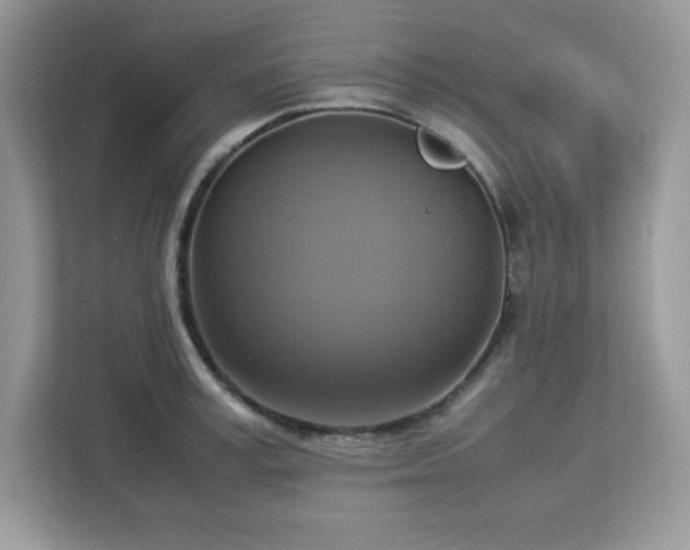 X0000113110995200908281405