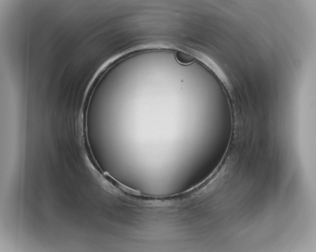 X0000113110996200908281405