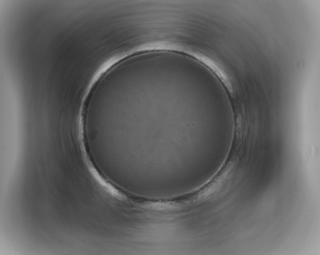 X0000113110998200908281405