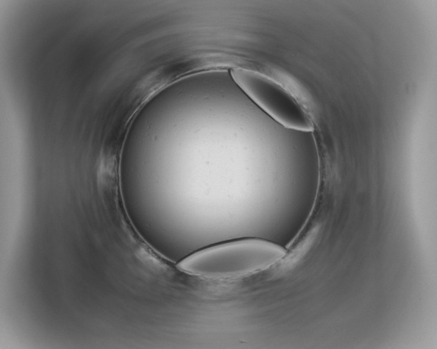 X0000113111001200908281405