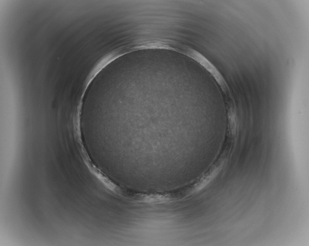 X0000113111002200908281405