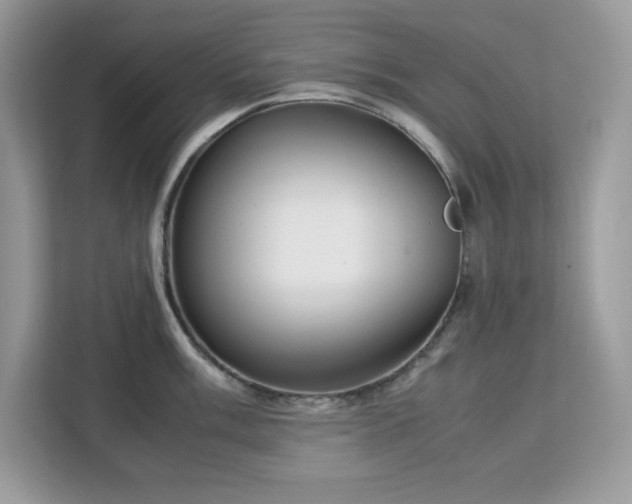 X0000113111003200908281404