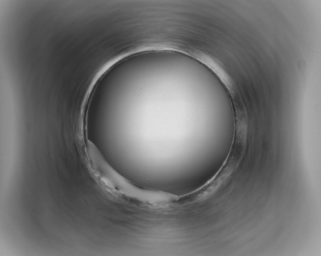 X0000113111004200908281404