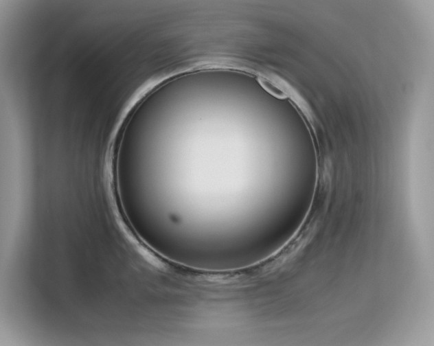 X0000113111005200908281404