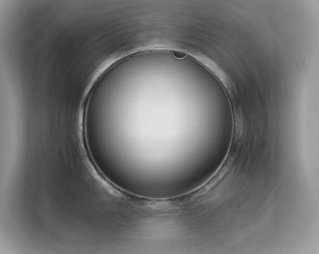 X0000113111006200908281404
