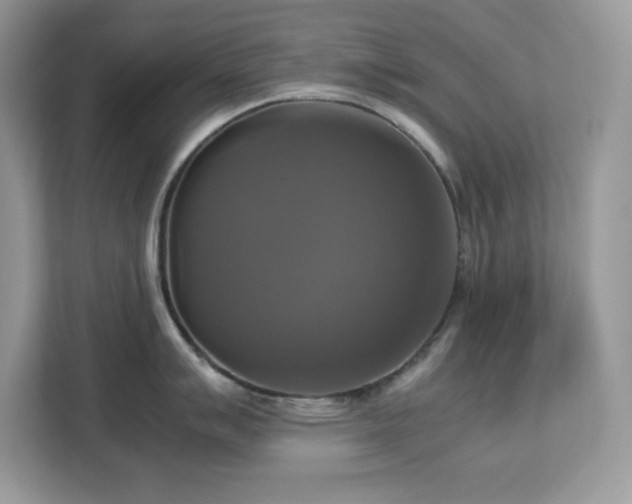 X0000113111007200908281404