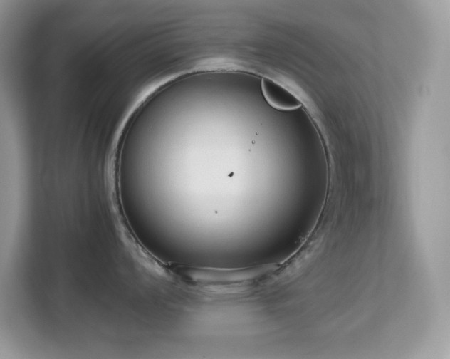 X0000113111008200908281404