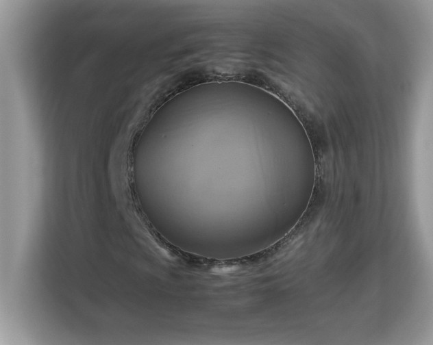 X0000113111009200908281404