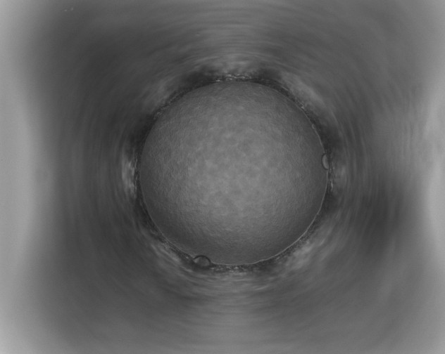 X0000113111010200908281404