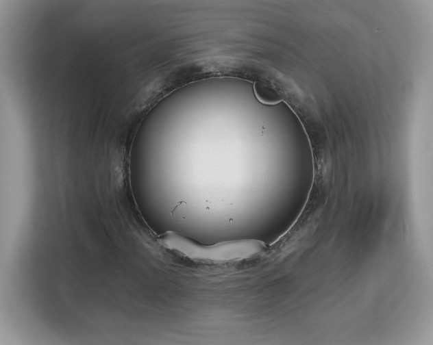 X0000113111012200908281404