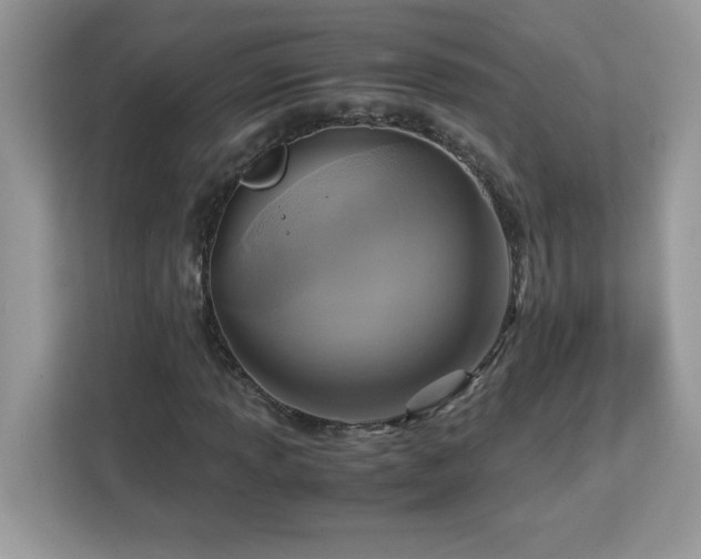 X0000113111013200908281404