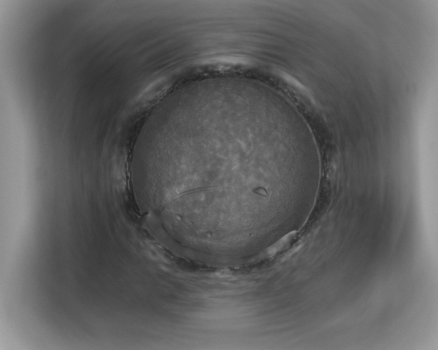 X0000113111014200908281404