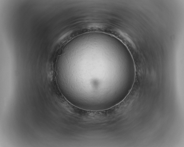 X0000113111015200908281404