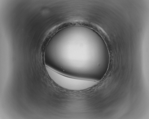 X0000113111016200908281404