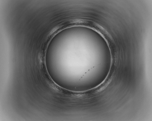 X0000113111017200908281404
