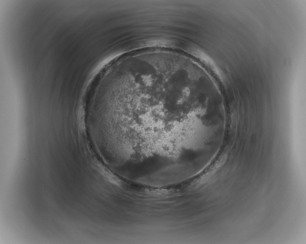 X0000113111019200908281404