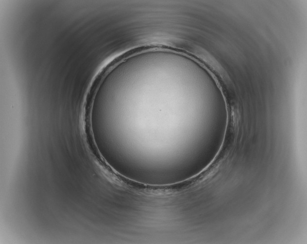 X0000113111020200908281404