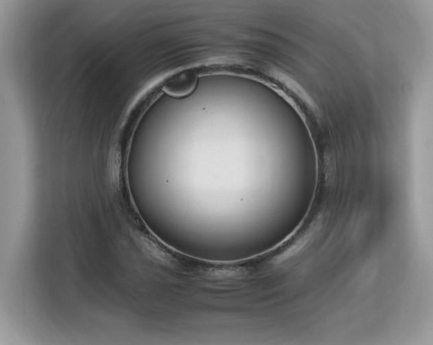 X0000113111021200908281404