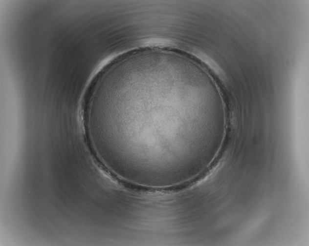 X0000113111022200908281404