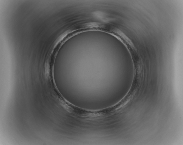 X0000113111023200908281404