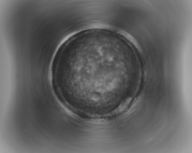 X0000113111024200908281404