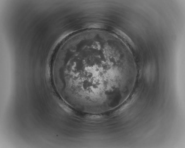 X0000113111027200908281404