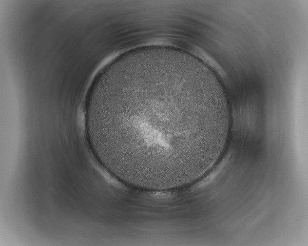 X0000113111029200908281404