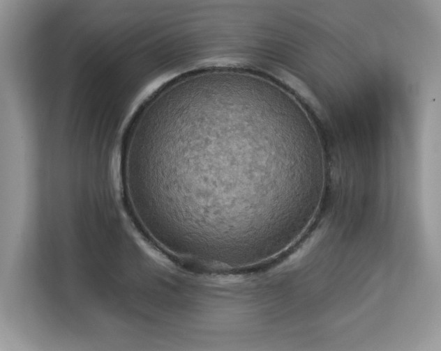 X0000113111030200908281404