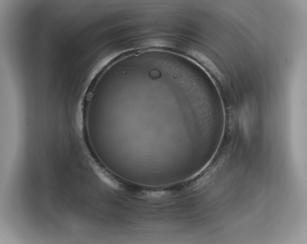 X0000113111031200908281404