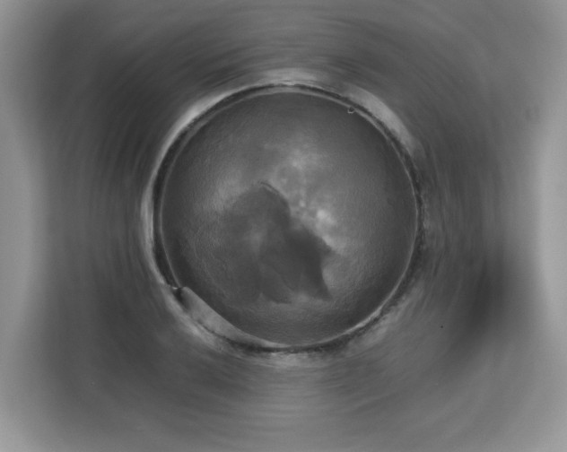 X0000113111032200908281404
