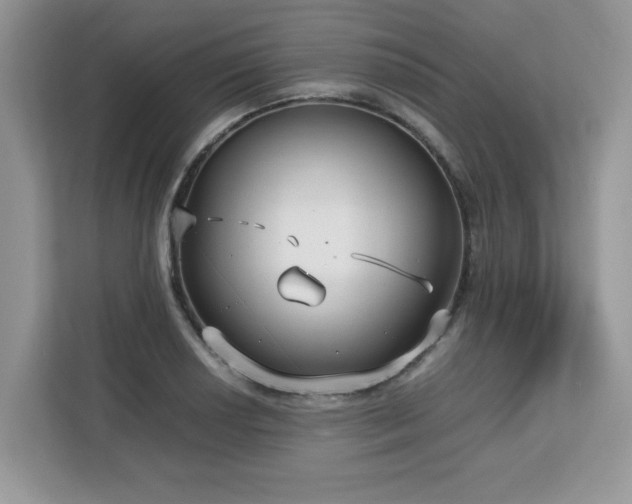 X0000113111034200908281404