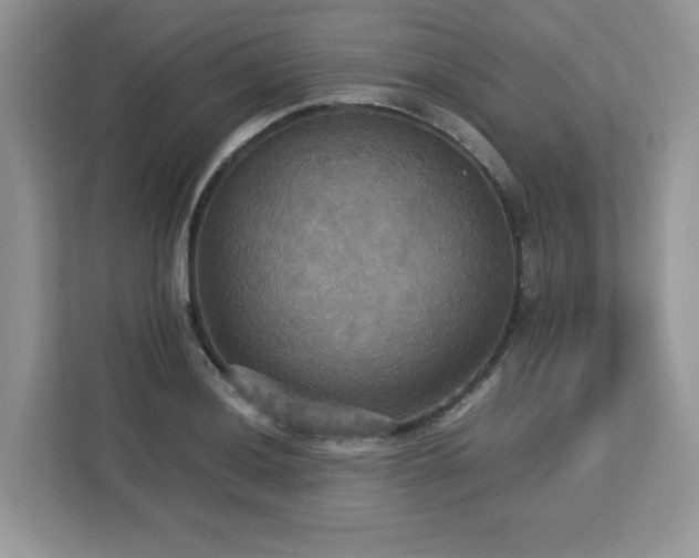 X0000113111036200908281404