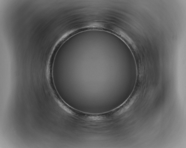 X0000113111037200908281404