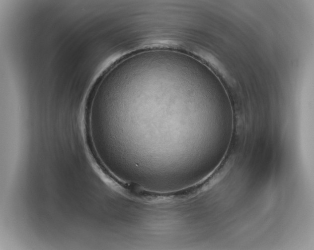 X0000113111038200908281404