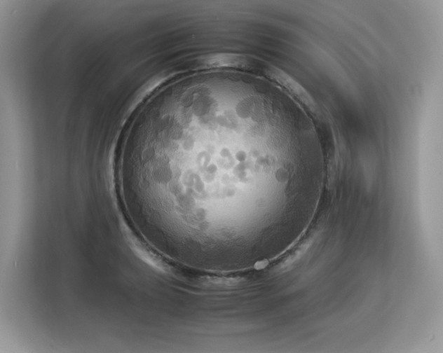 X0000113111039200908281404