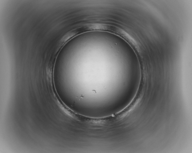 X0000113111041200908281404
