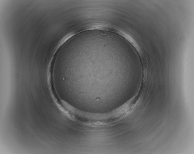X0000113111042200908281404