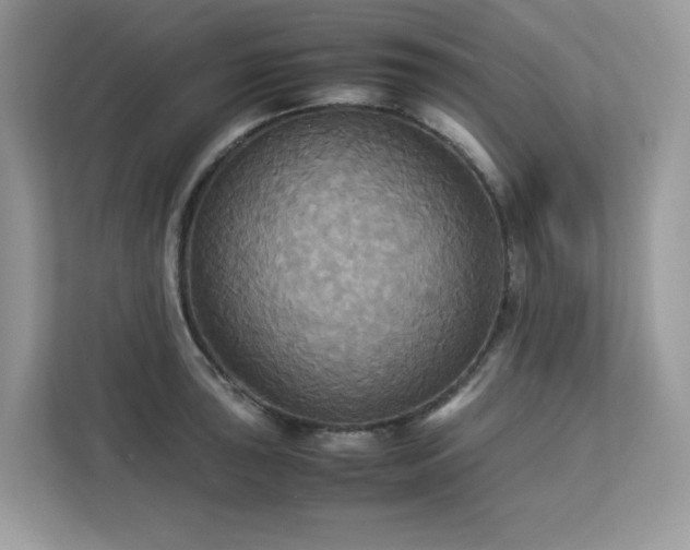 X0000113111043200908281404