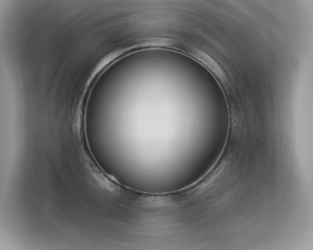 X0000113111044200908281404