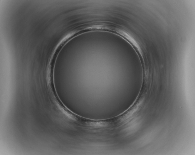 X0000113111045200908281404