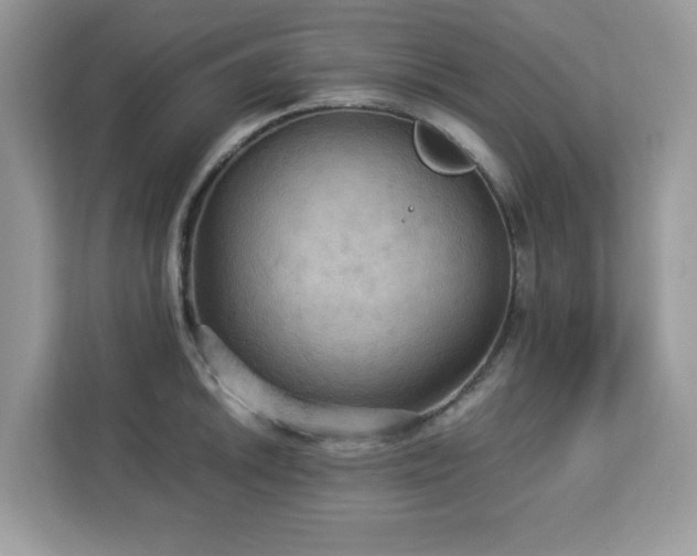 X0000113111046200908281404
