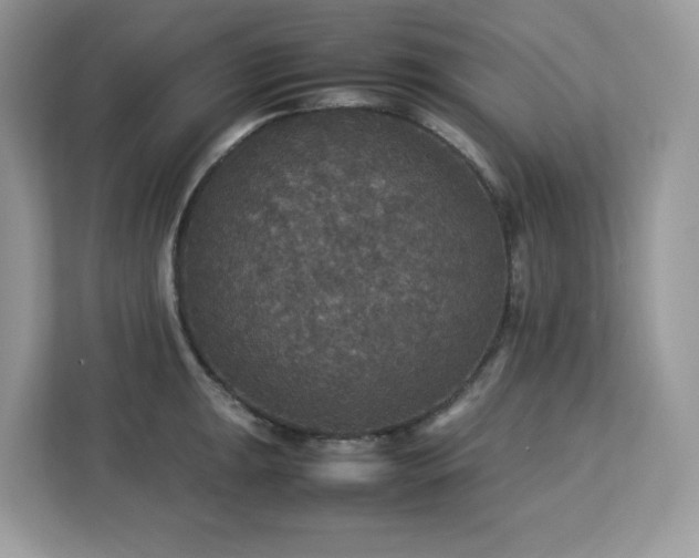 X0000113111047200908281404