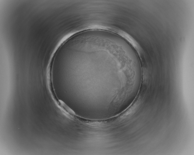 X0000113111048200908281404