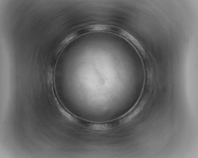 X0000113111049200908281404