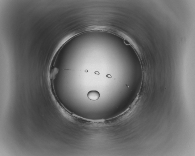 X0000113111050200908281404