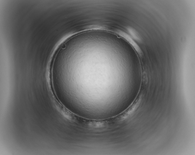 X0000113111051200908281404