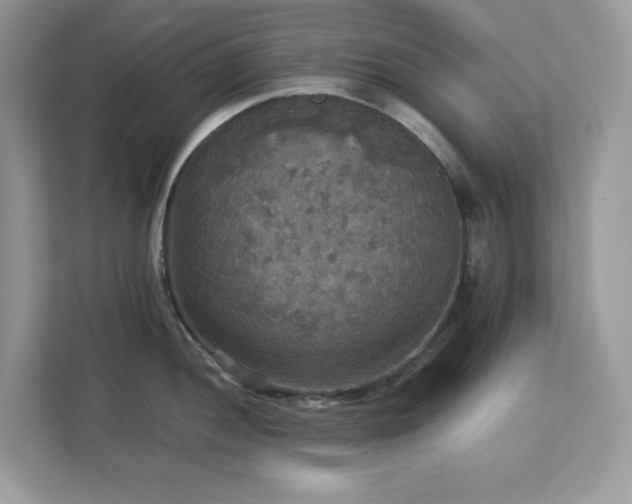 X0000113111052200908281404
