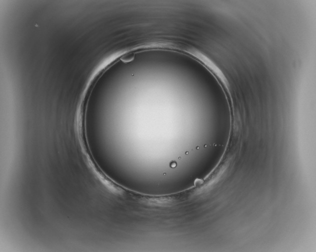 X0000113111053200908281404