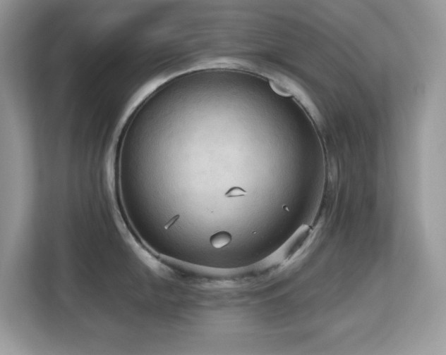 X0000113111054200908281404