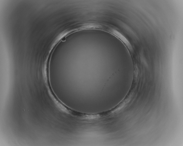 X0000113111055200908281404